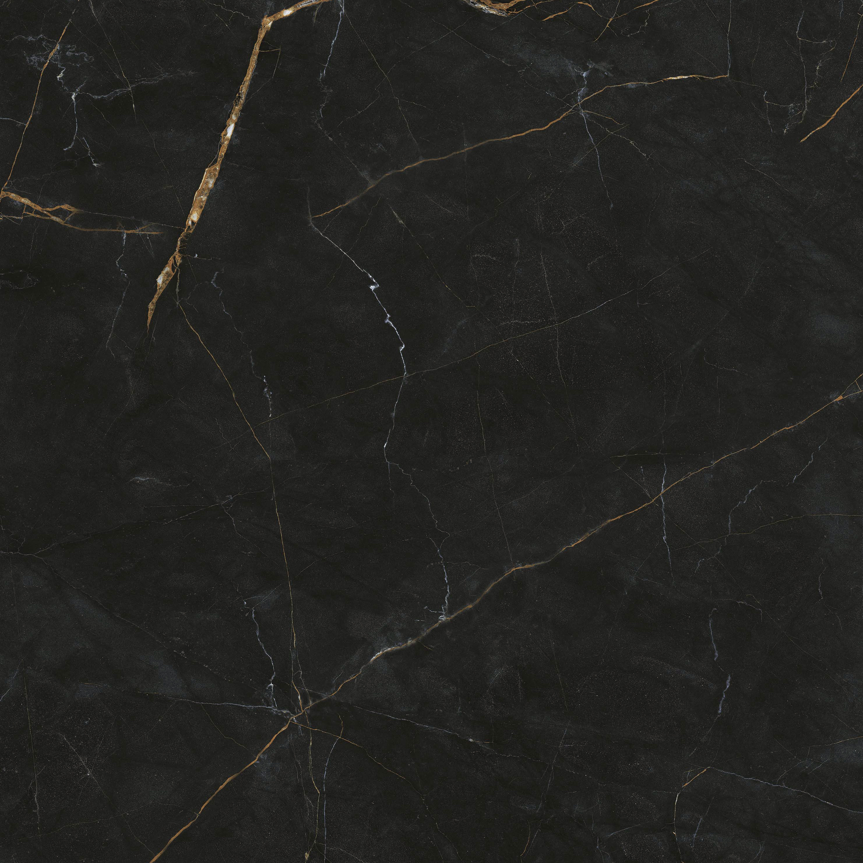 GA黄金甲·(中国区)官方网站