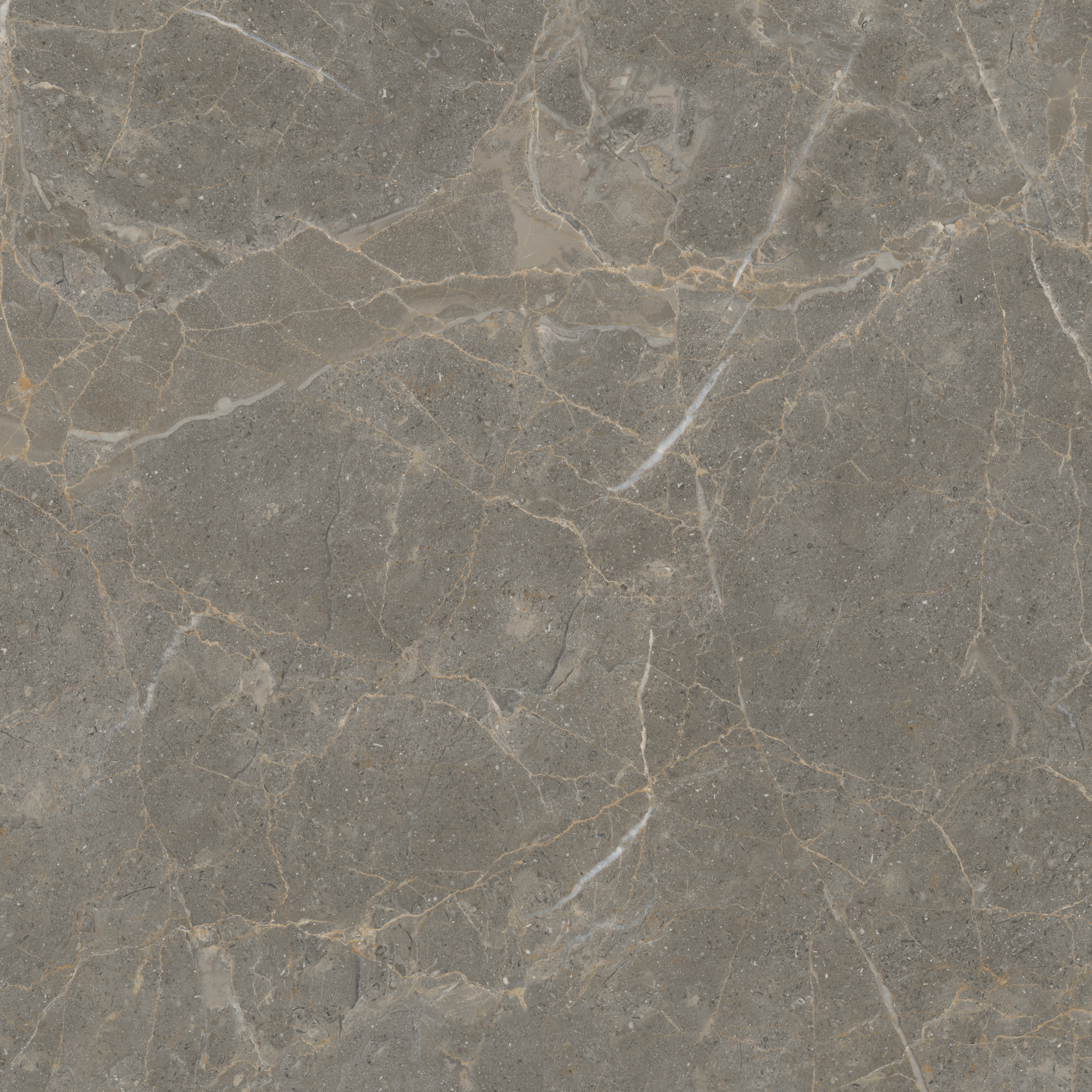 GA黄金甲·(中国区)官方网站