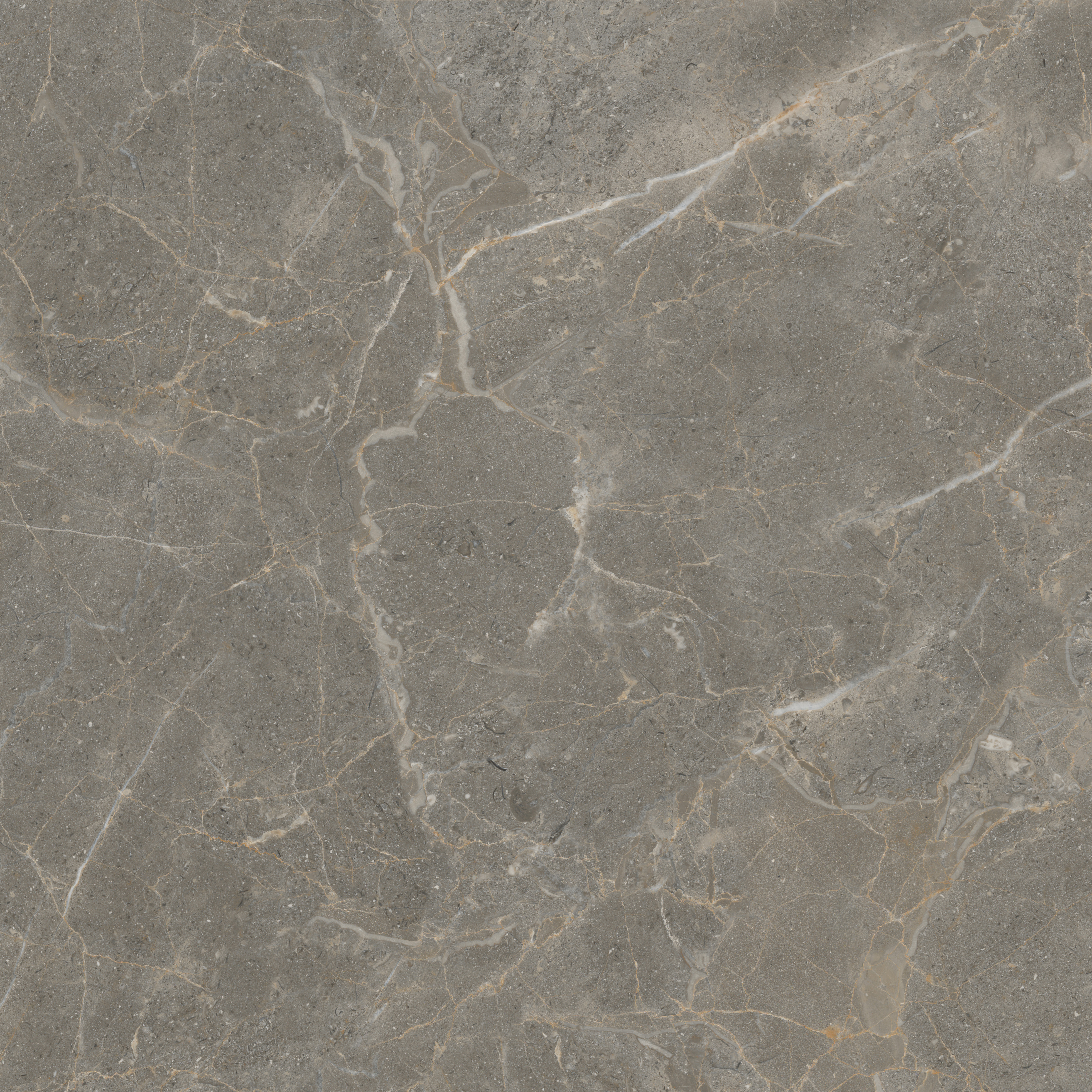 GA黄金甲·(中国区)官方网站