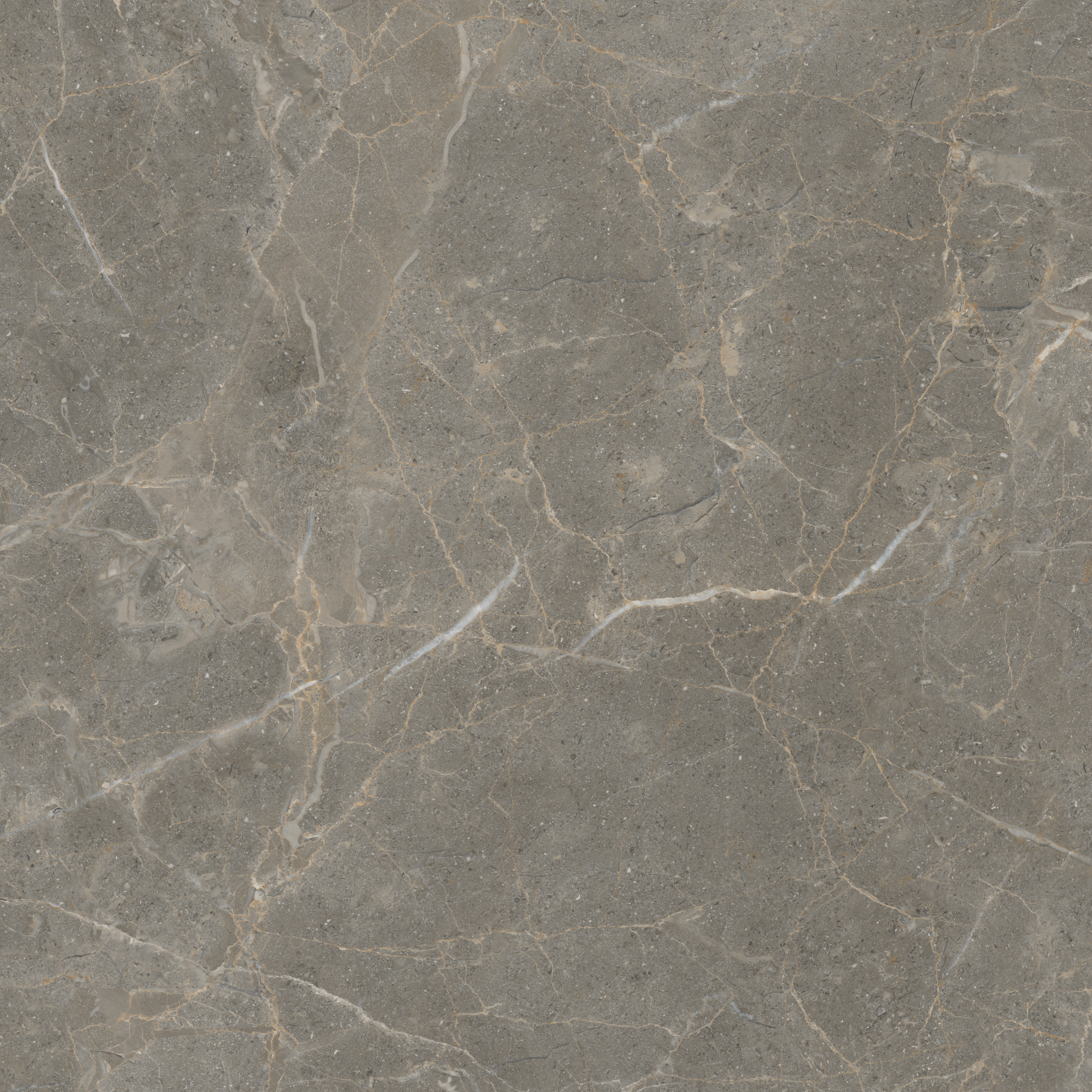 GA黄金甲·(中国区)官方网站