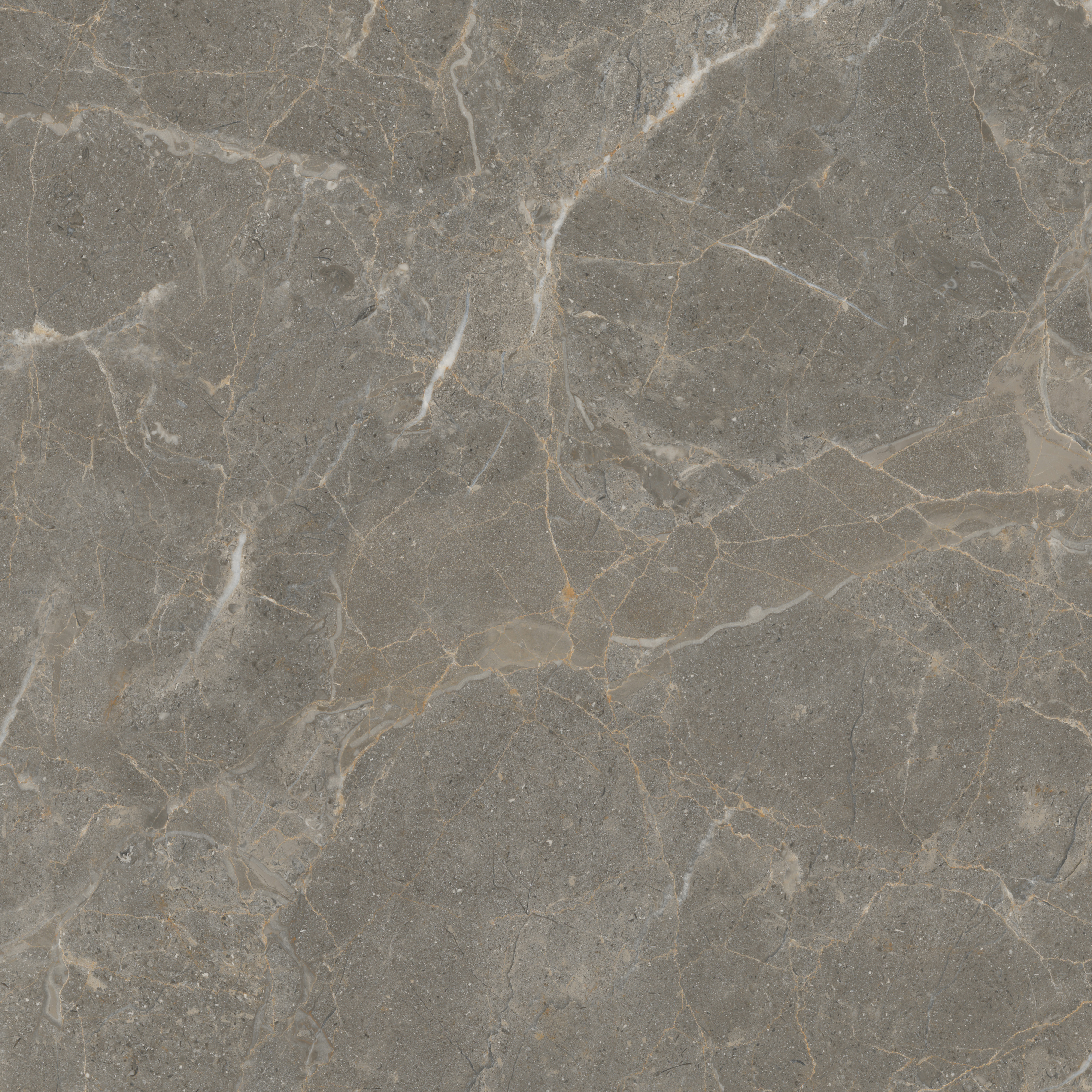 GA黄金甲·(中国区)官方网站