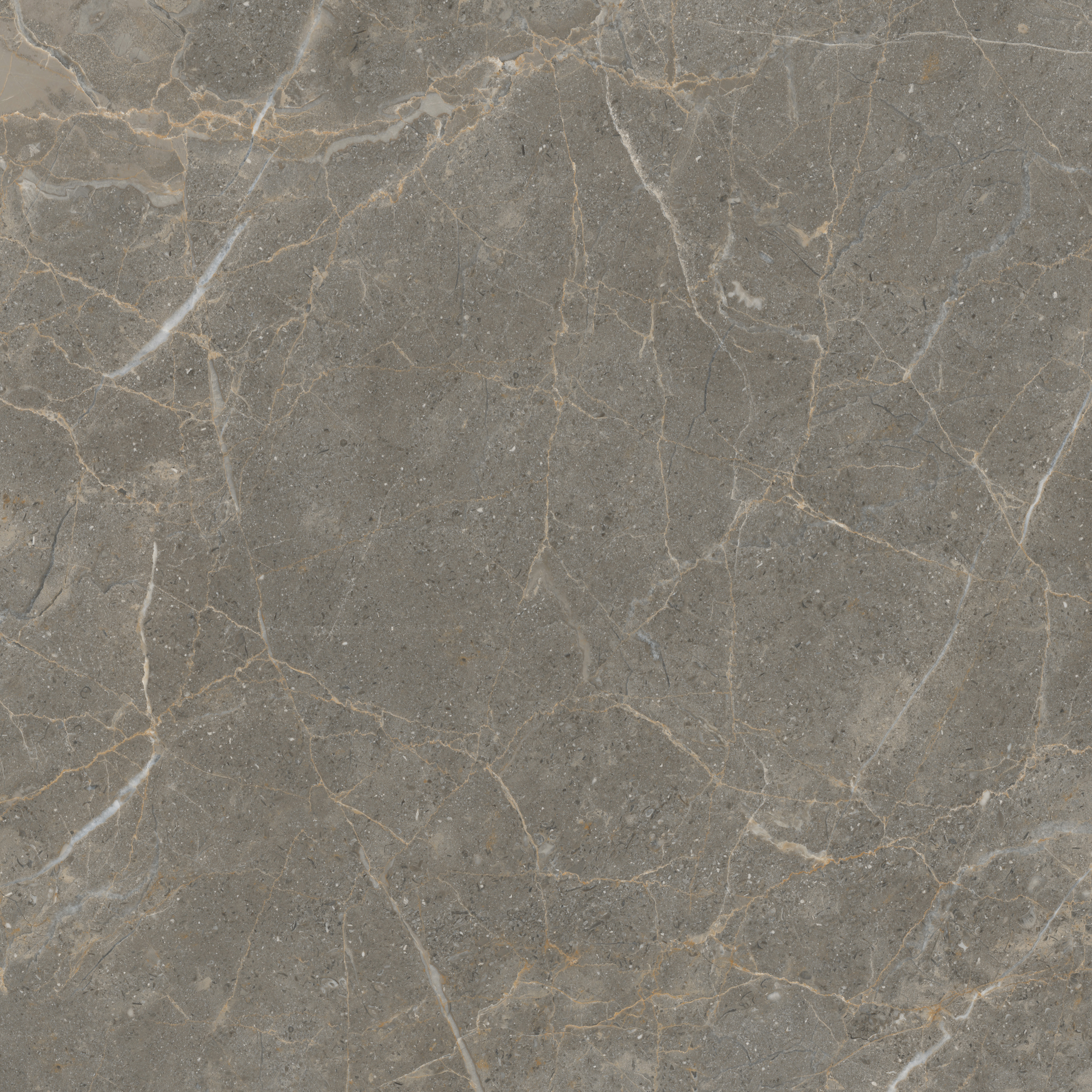 GA黄金甲·(中国区)官方网站