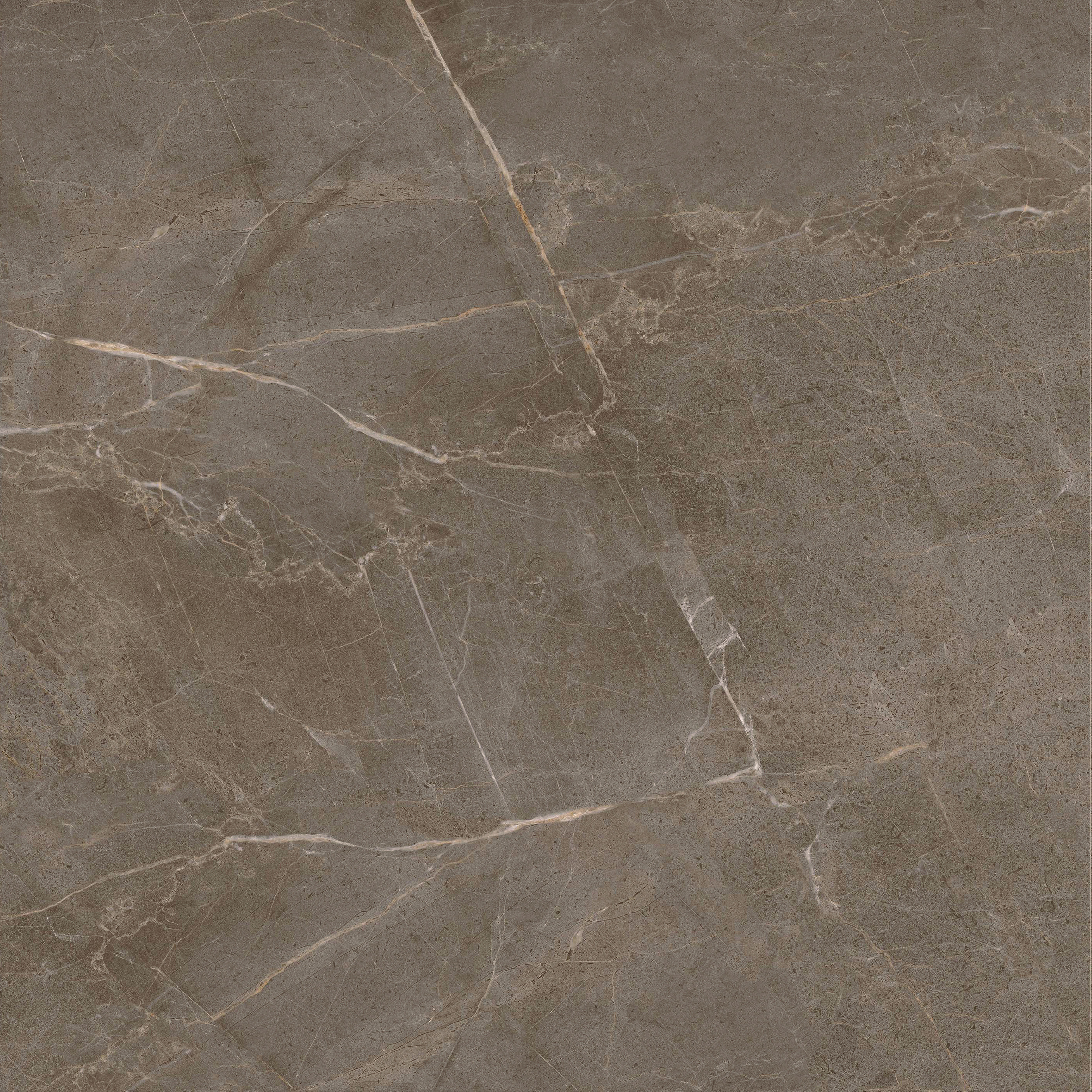 GA黄金甲·(中国区)官方网站