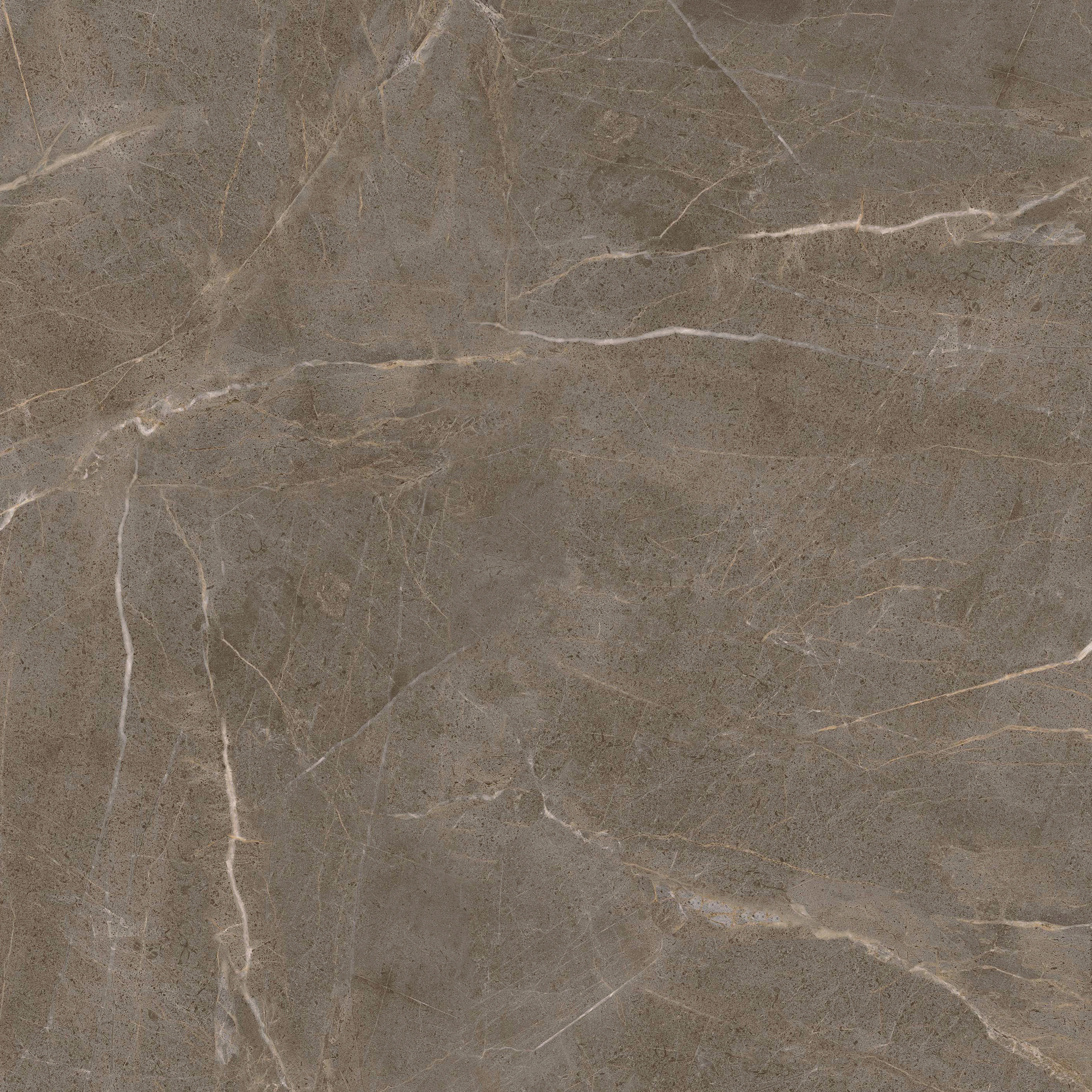 GA黄金甲·(中国区)官方网站