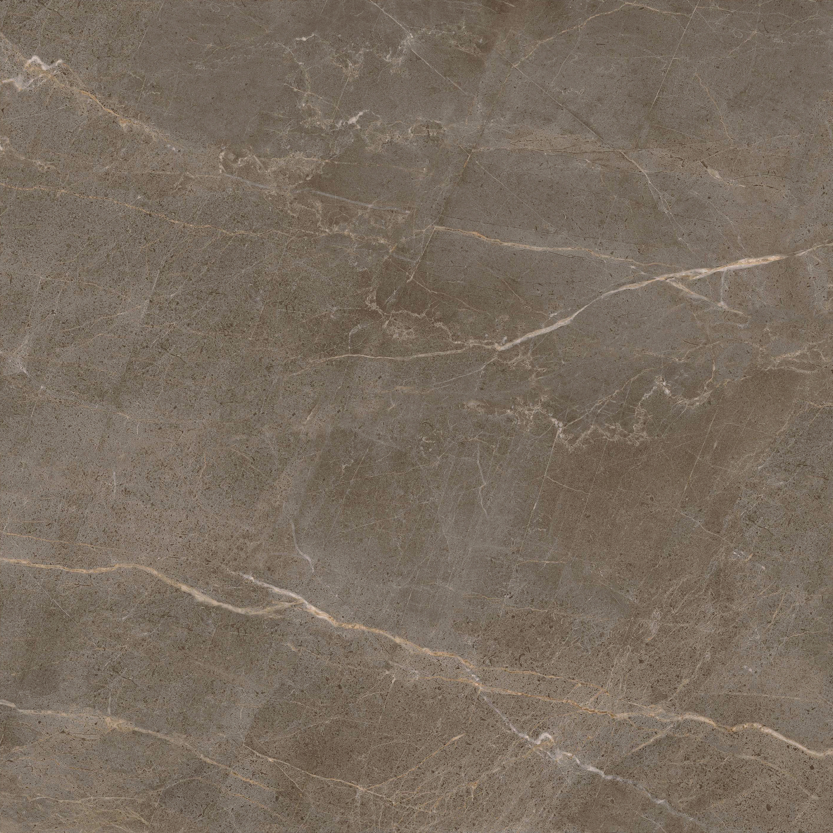 GA黄金甲·(中国区)官方网站