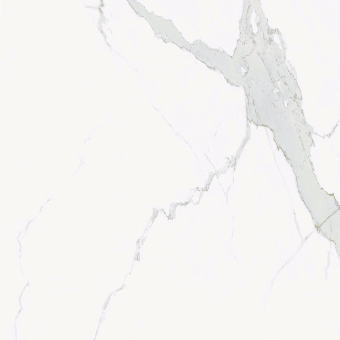 GA黄金甲·(中国区)官方网站