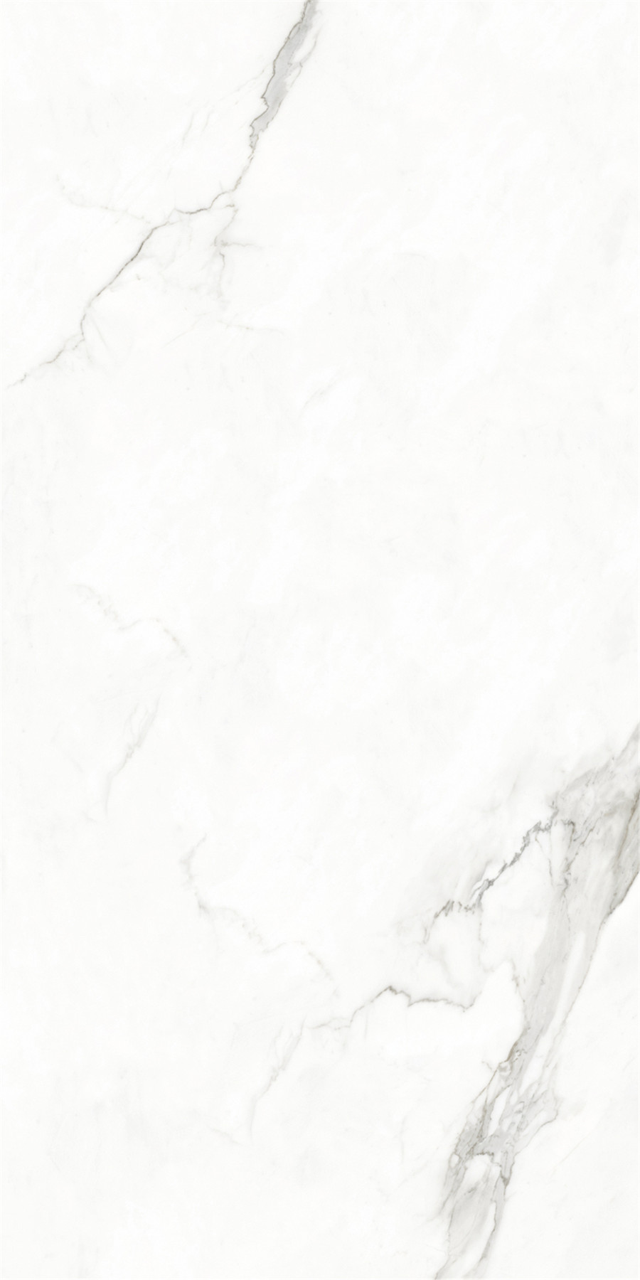 GA黄金甲·(中国区)官方网站