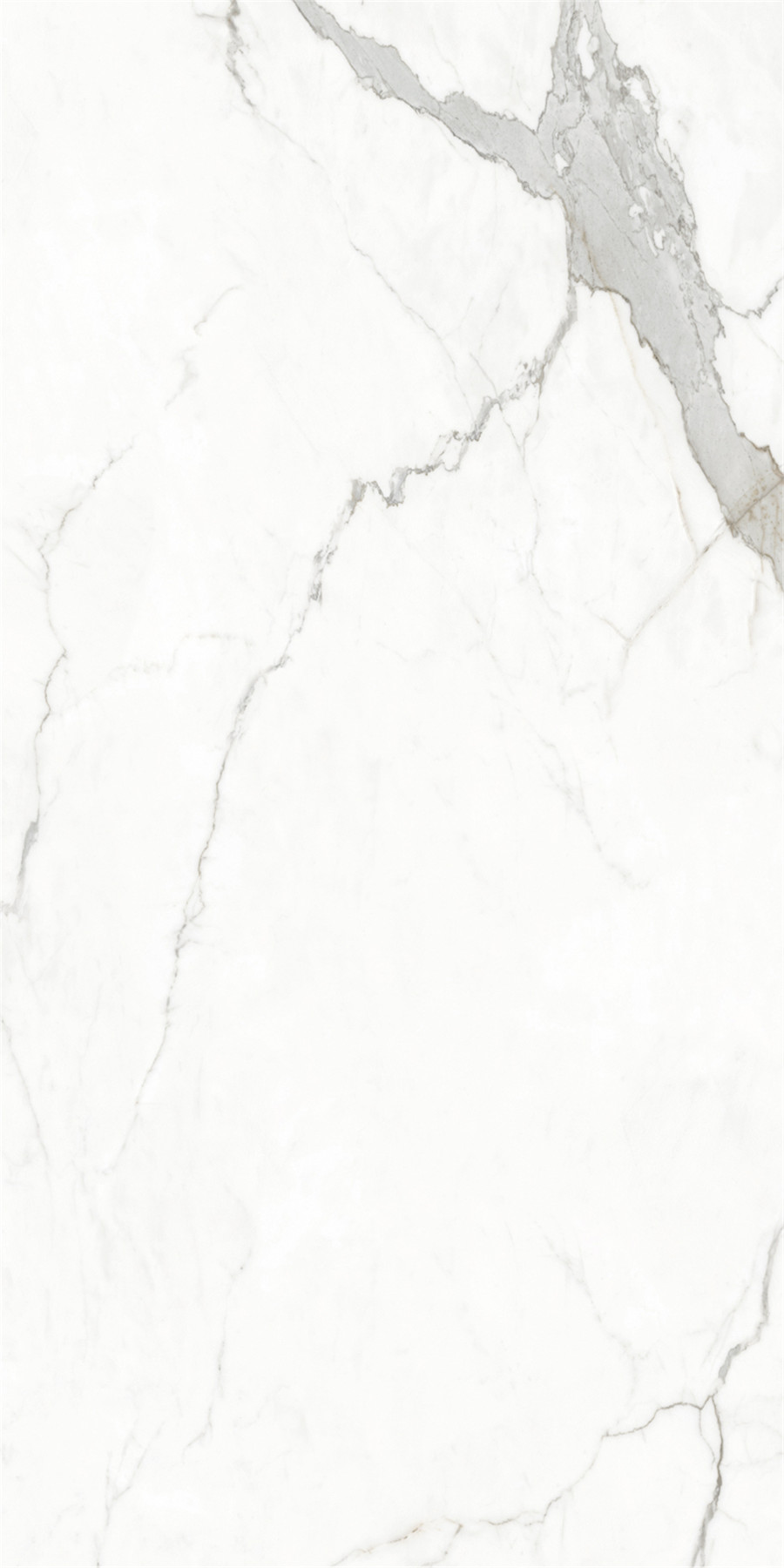 GA黄金甲·(中国区)官方网站