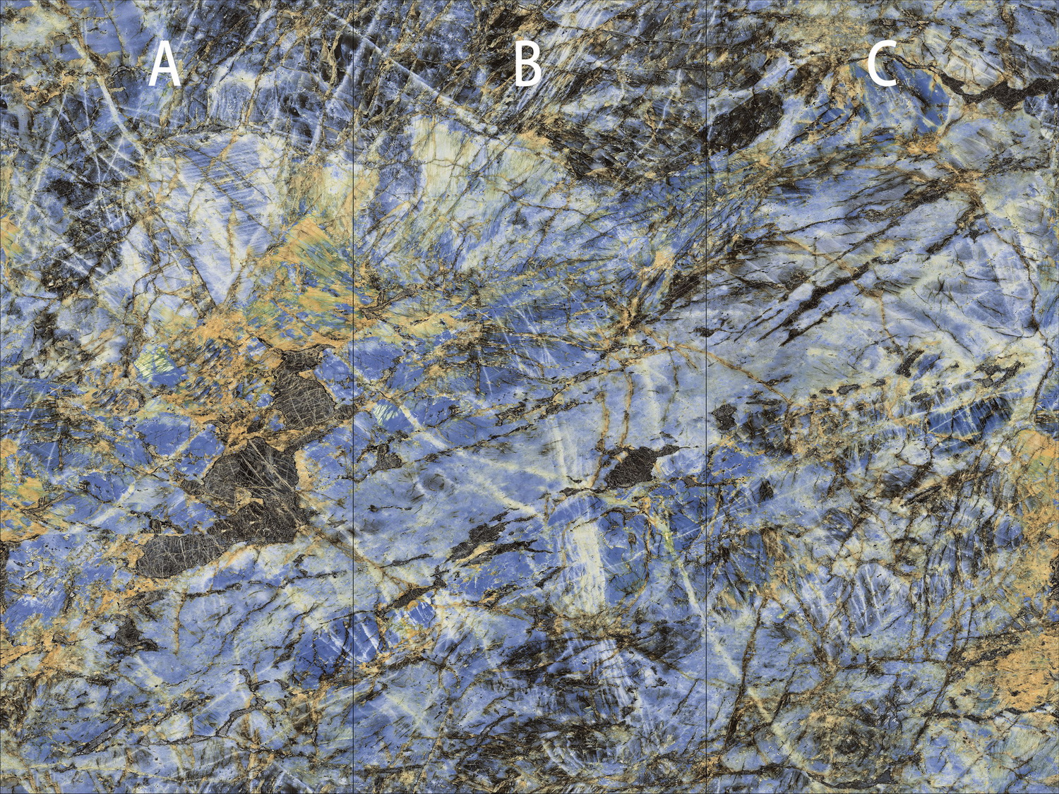 GA黄金甲·(中国区)官方网站