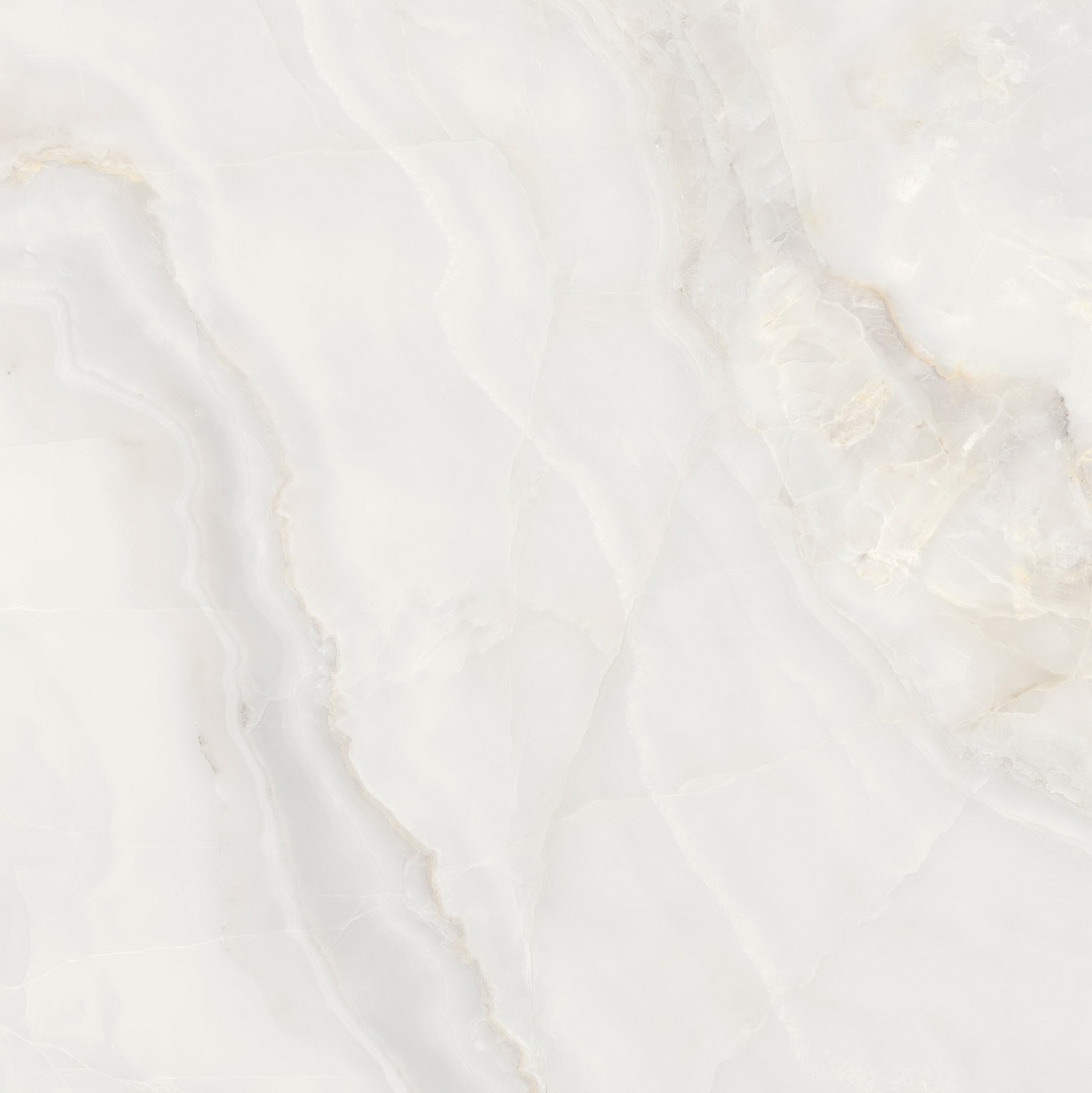 GA黄金甲·(中国区)官方网站