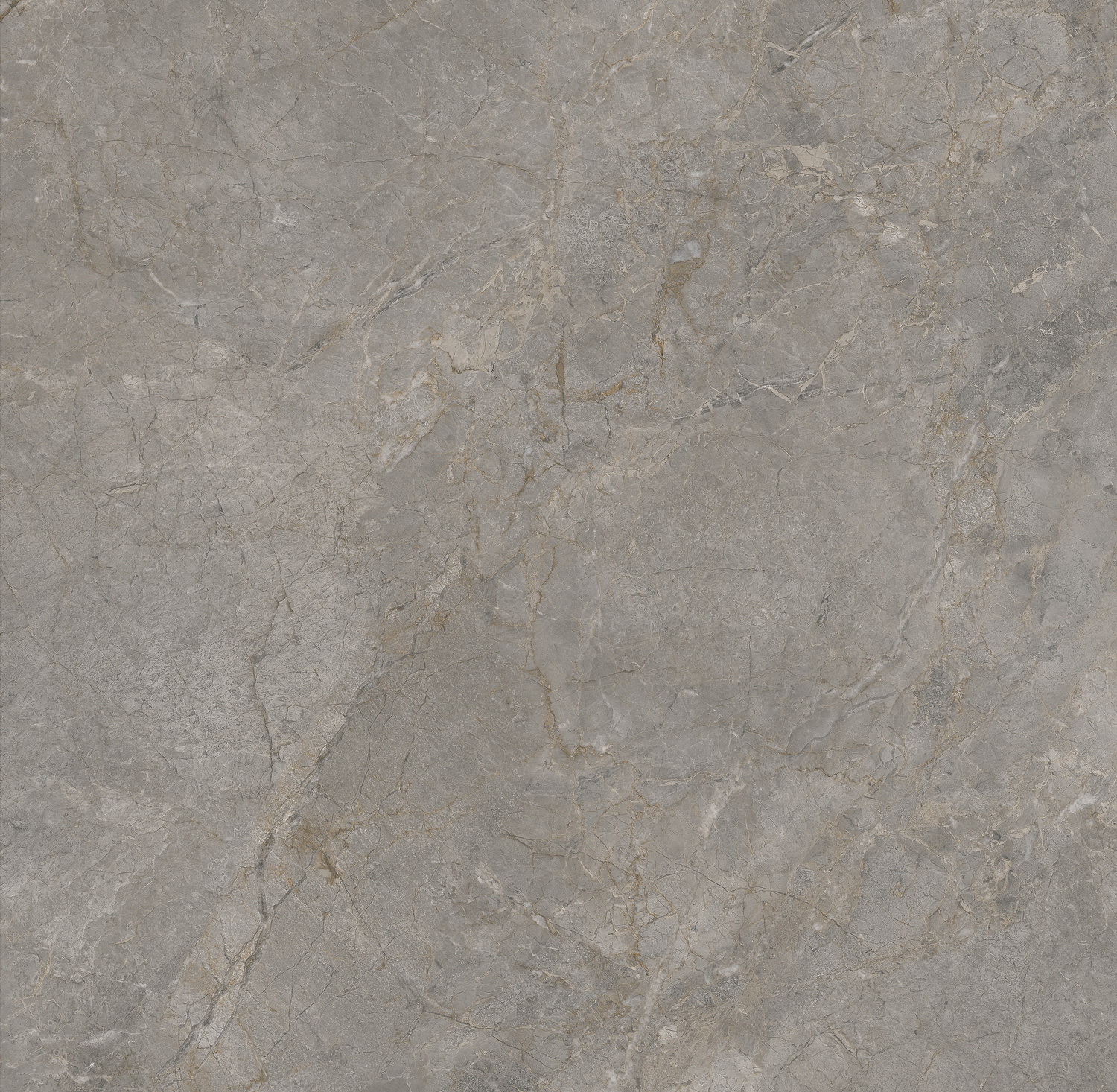 GA黄金甲·(中国区)官方网站