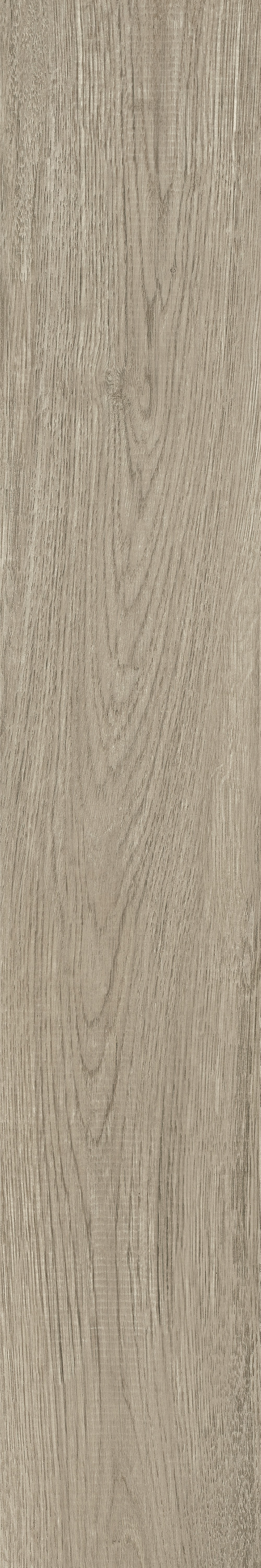 GA黄金甲·(中国区)官方网站