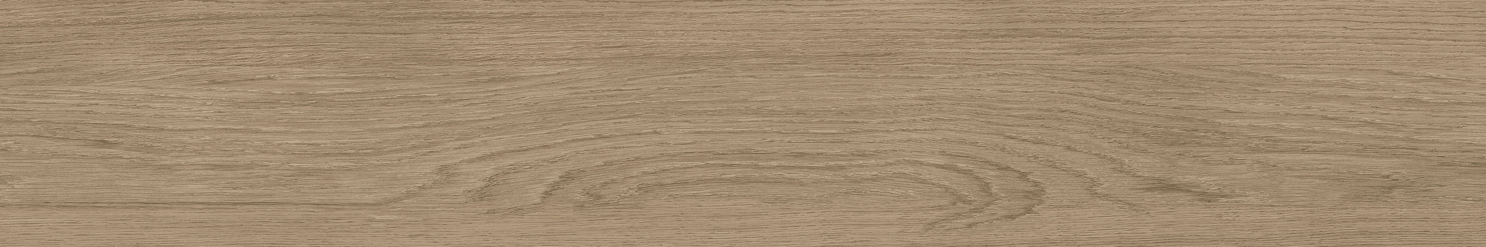 GA黄金甲·(中国区)官方网站