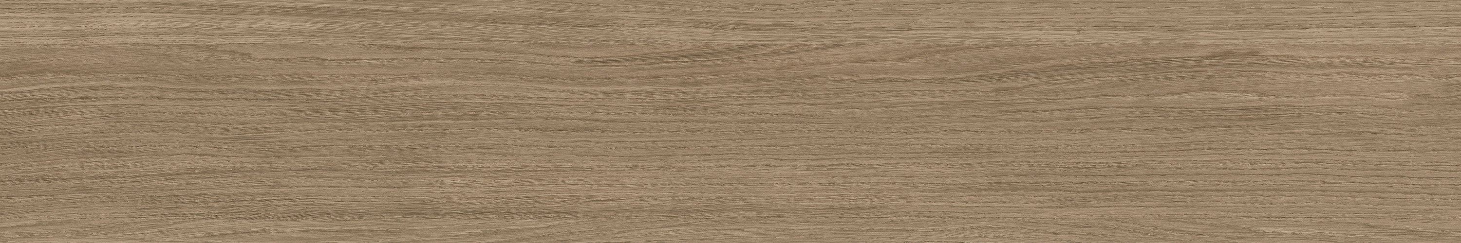 GA黄金甲·(中国区)官方网站