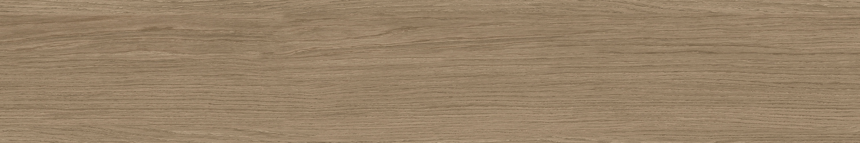 GA黄金甲·(中国区)官方网站