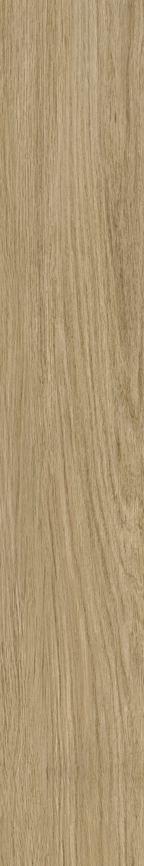 GA黄金甲·(中国区)官方网站