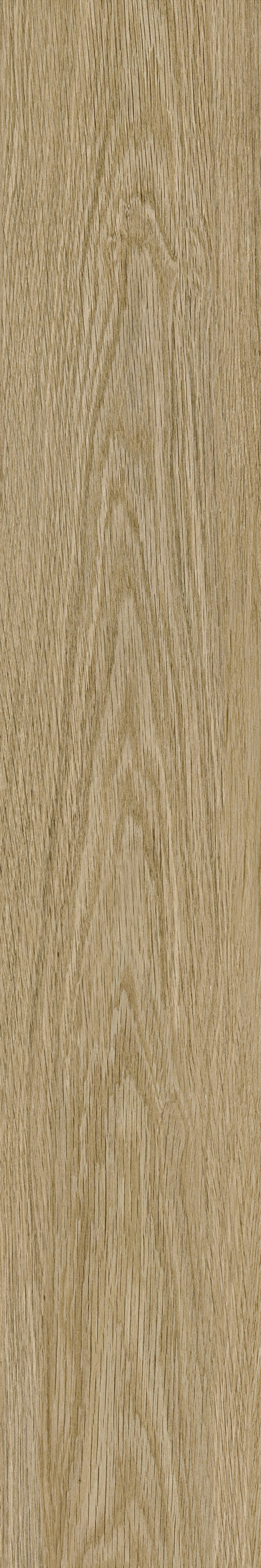 GA黄金甲·(中国区)官方网站