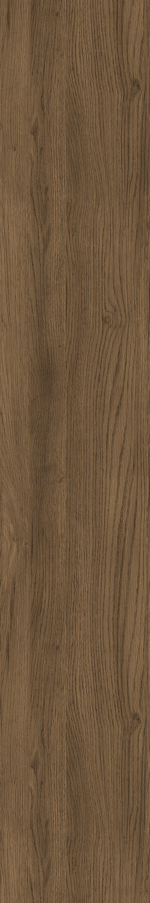 GA黄金甲·(中国区)官方网站