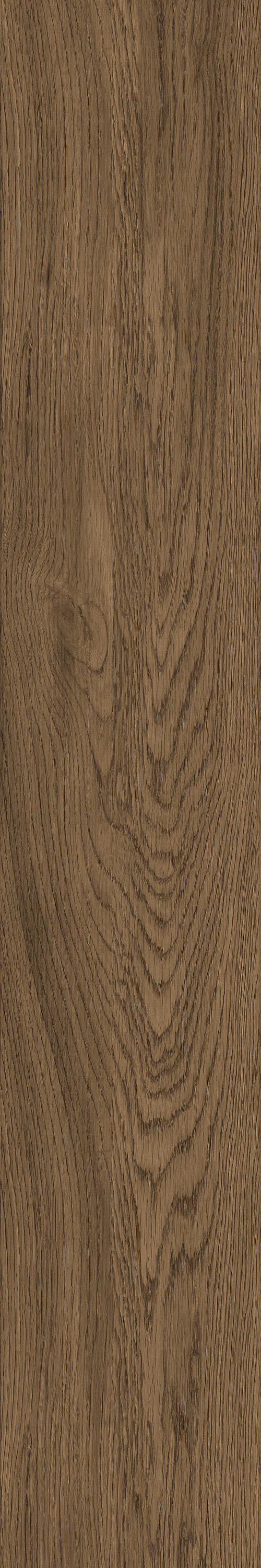 GA黄金甲·(中国区)官方网站