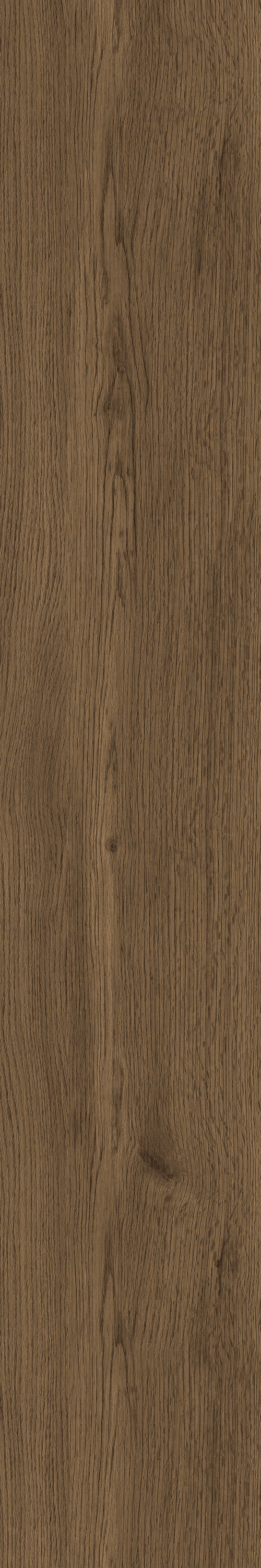 GA黄金甲·(中国区)官方网站