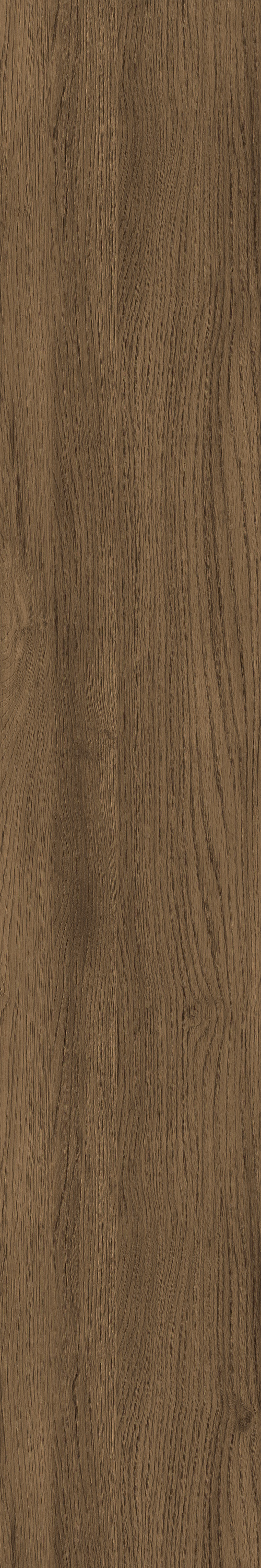 GA黄金甲·(中国区)官方网站