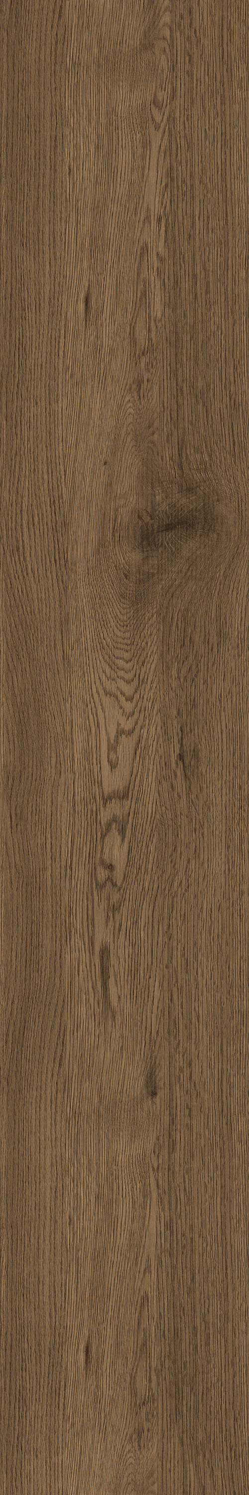 GA黄金甲·(中国区)官方网站