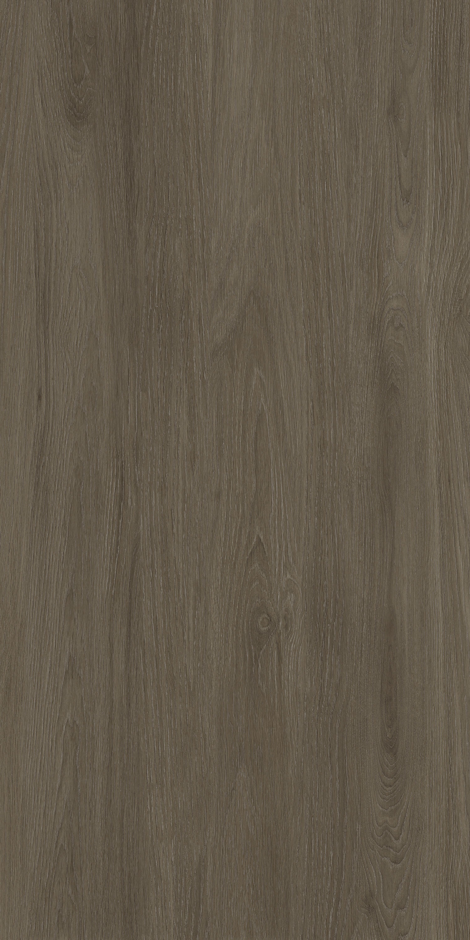 GA黄金甲·(中国区)官方网站