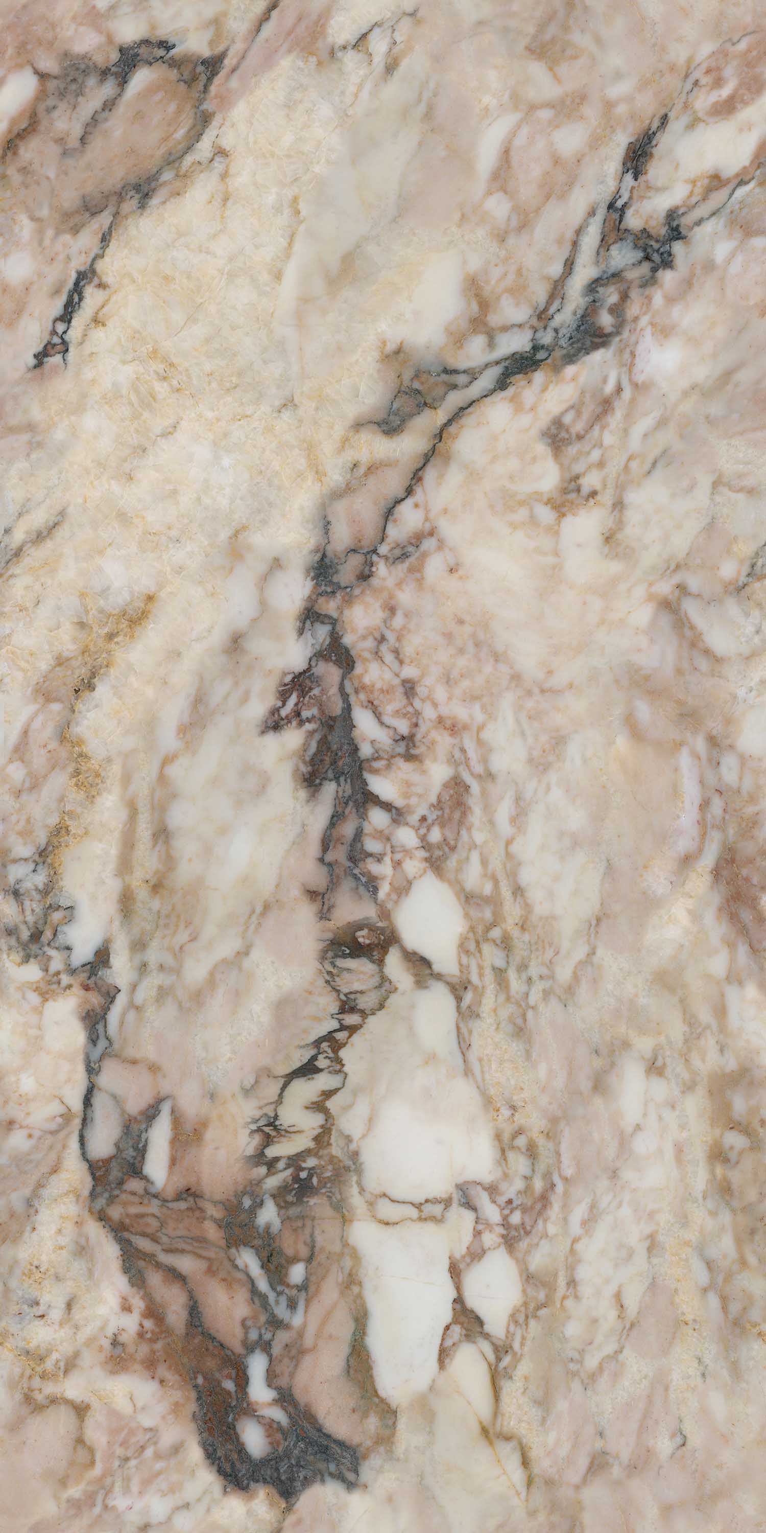 GA黄金甲·(中国区)官方网站