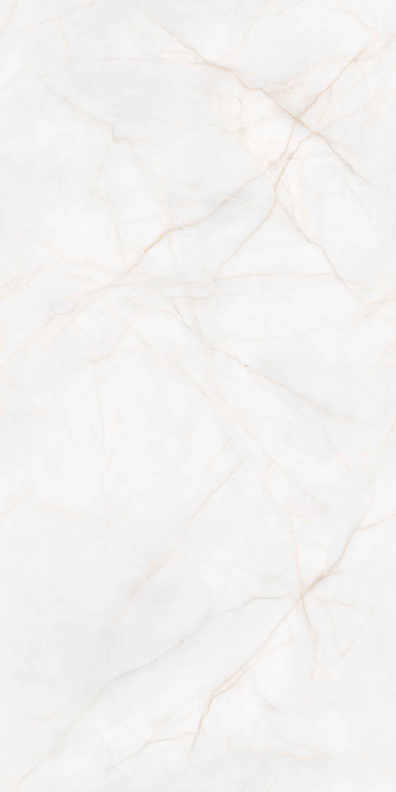 GA黄金甲·(中国区)官方网站