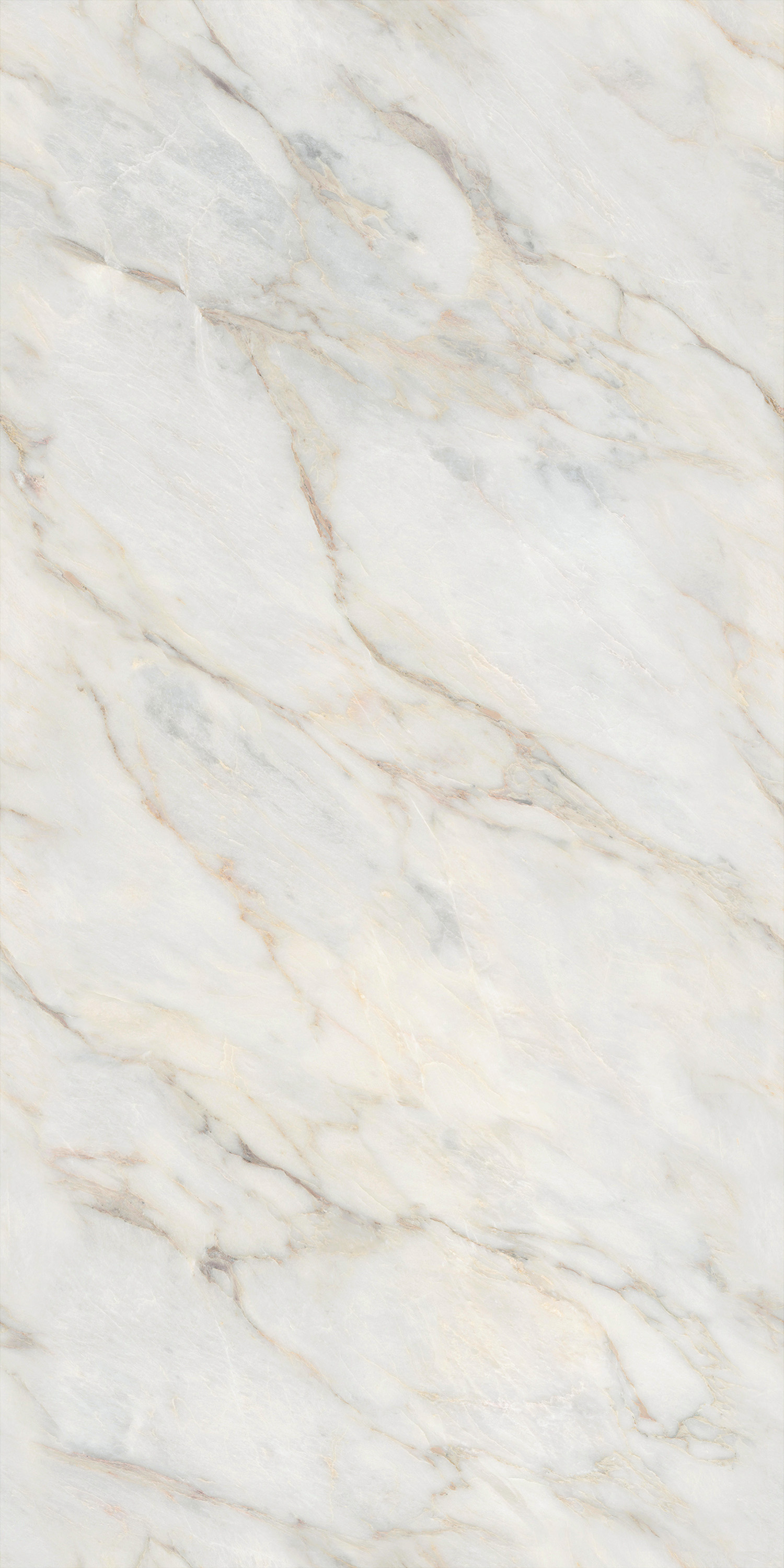 GA黄金甲·(中国区)官方网站